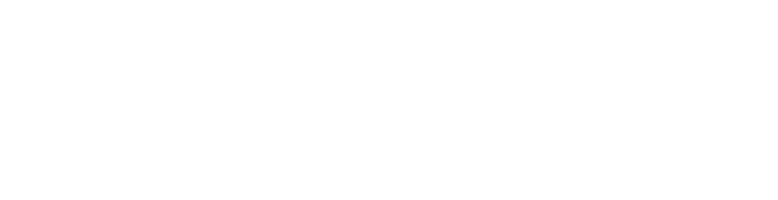 logo nubitel light